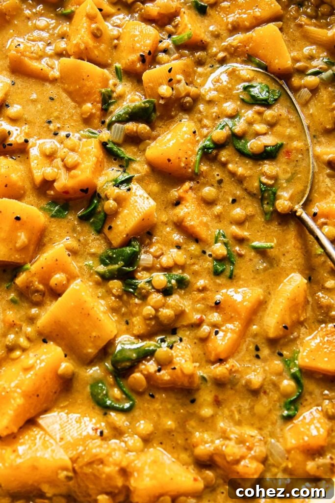 Close up shot of creamy vegan coconut lentil curry garnished with fresh cilantro leaves