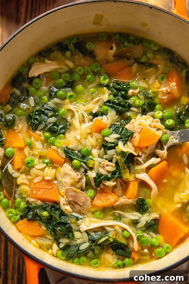 Close-up shot of hearty chicken and vegetable soup with orzo pasta simmering in a large pot, showcasing the rich broth, colorful vegetables, and tender chicken.