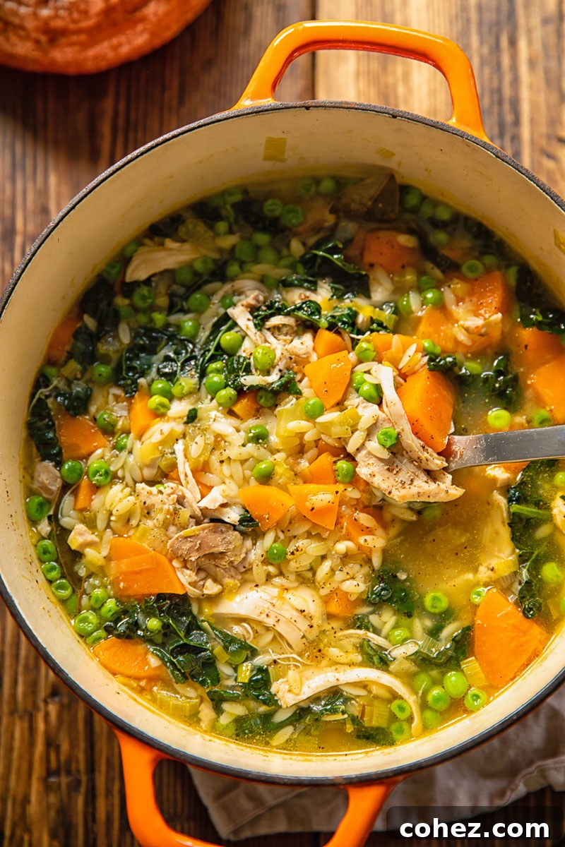 Top-down perspective of a spoon scooping generous portions of hot chicken vegetable orzo soup from a large pot, steam gently rising.
