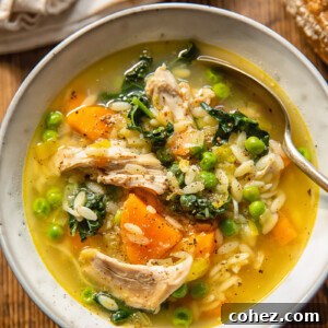 Top down view of chicken and vegetable soup with orzo, carrots and peas in a bowl with a spoon