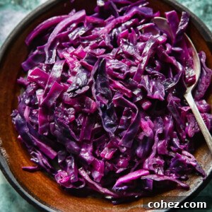 Top down view of braised red cabbage on a plate with bacon lardons and juniper berries