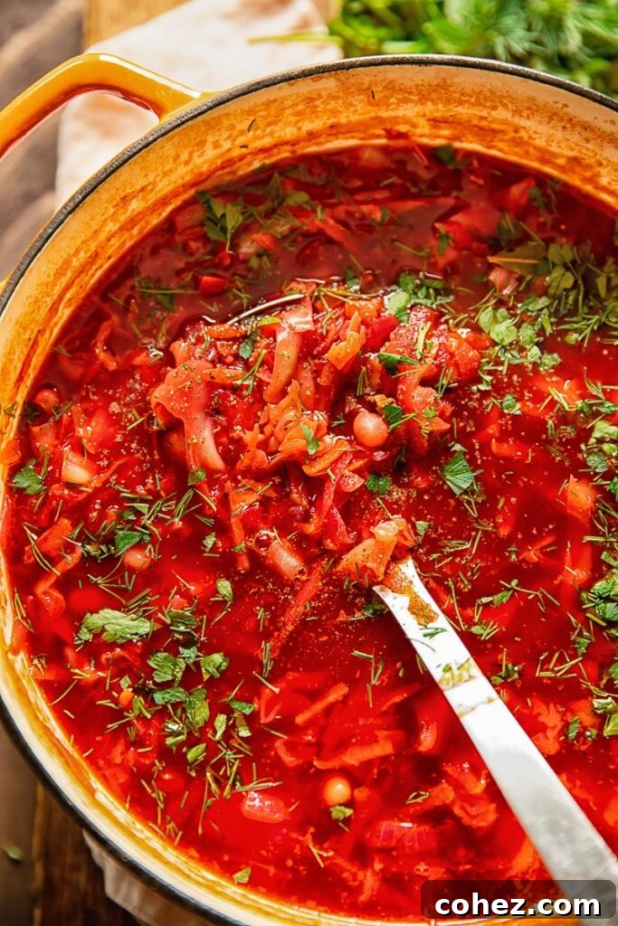 pot of vegetarian borscht with a ladle