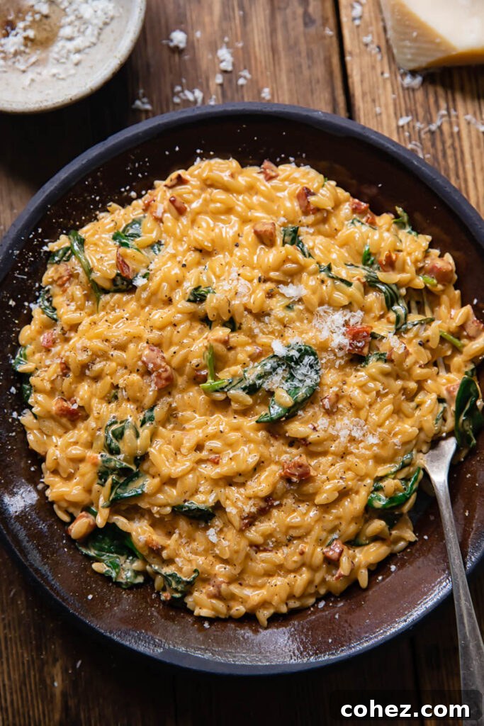 Top down view of creamy orzo with chorizo and spinach on a plate with a fork