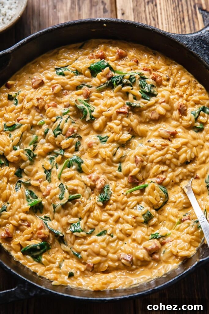 Close up shot of chorizo and spinach orzo in a pan