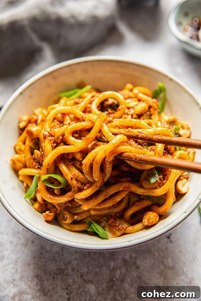 A perfectly prepared bowl of Vegan Dan Dan Noodles, garnished with peanuts and green onions.