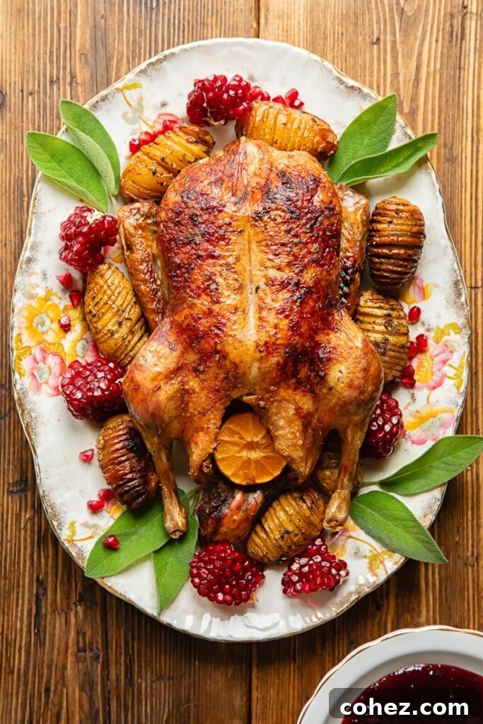 Regal Roast Duck with Port Cranberry Glaze 3 Top down view of roasted duck with potatoes and cranberries next to gravy
