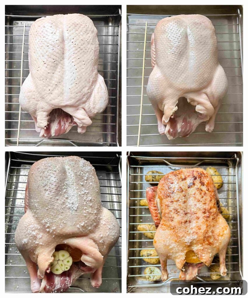 Regal Roast Duck with Port Cranberry Glaze 6 Process shots of whole duck being cooked in the oven