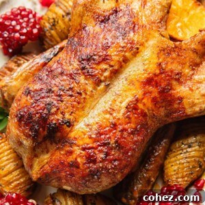 Close up shot of roasted duck on a platter with cranberries and potatoes