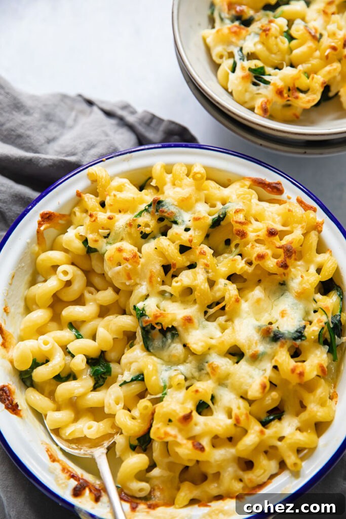 Top down view of brie mac and cheese in a baking dish
