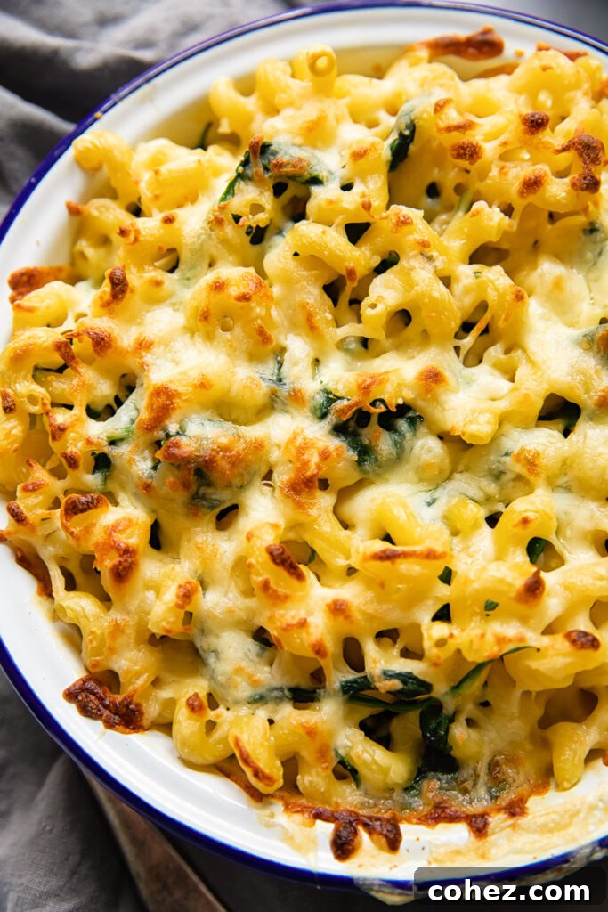 Top down view of mac and cheese after baking