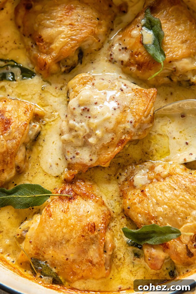 Close-up view of golden-brown braised chicken thighs simmering in a rich creamy sage sauce in a large cast-iron pan, garnished with fresh sage leaves.