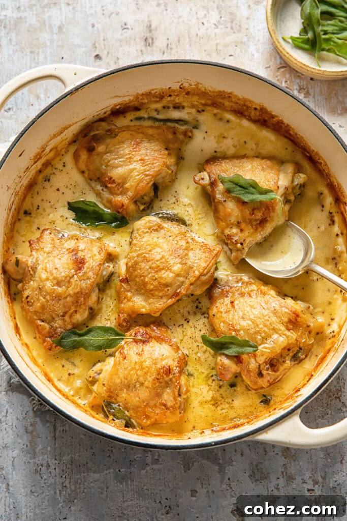 Top-down view of a serving spoon scooping tender braised chicken and rich creamy sage sauce from a large pot, emphasizing the dish's appealing texture and abundance of sauce.