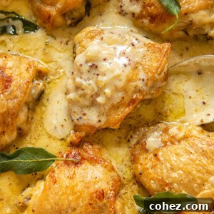 Close up view of chicken thighs braised in a creamy sage sauce in a large pan