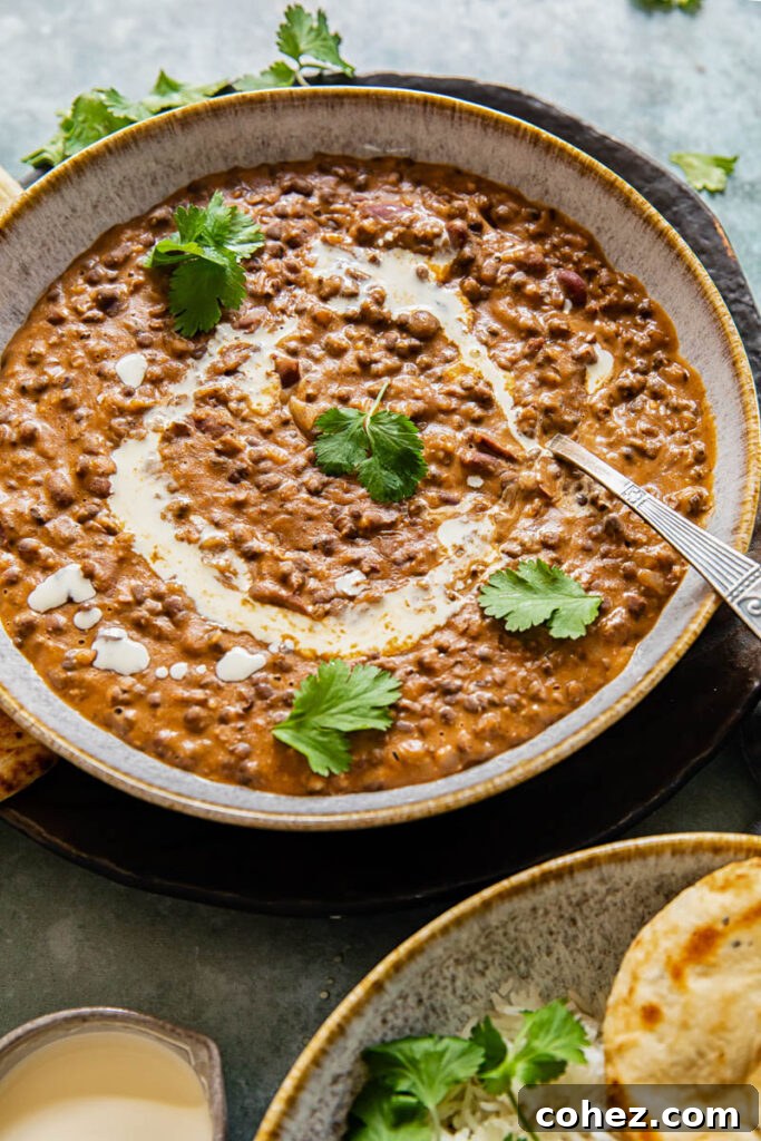 Close-up view of a bowl of Dal Makhani with a spoon, showing the creamy, thick consistency of the black lentil dish.