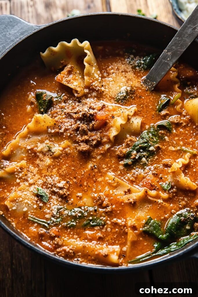 close up of a pot of lasagna soup with a ladle inside