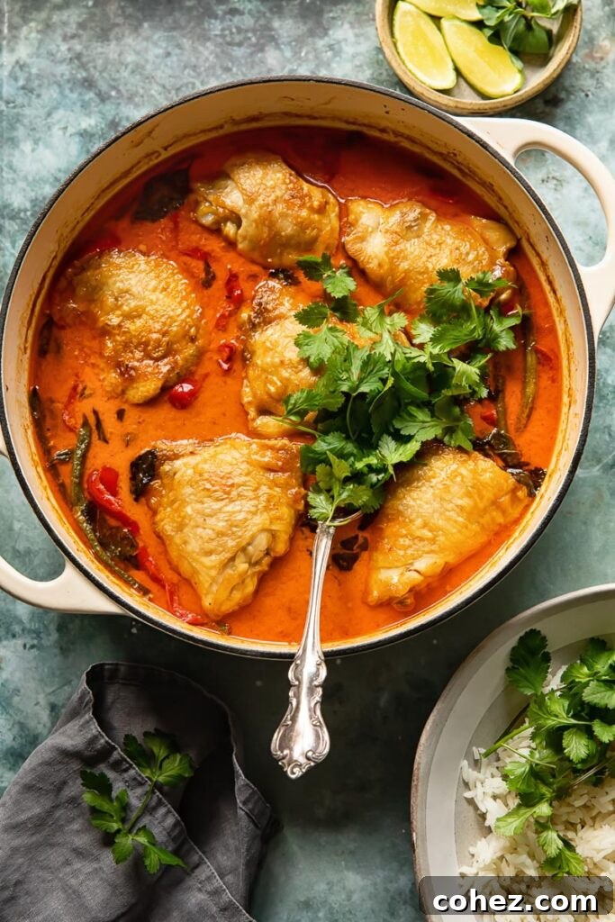pan of braised coconut curry with chicken thighs with a spoon and parsley