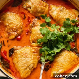 top down view of the braised coconut curry with chicken thighs and a bunch of parsley