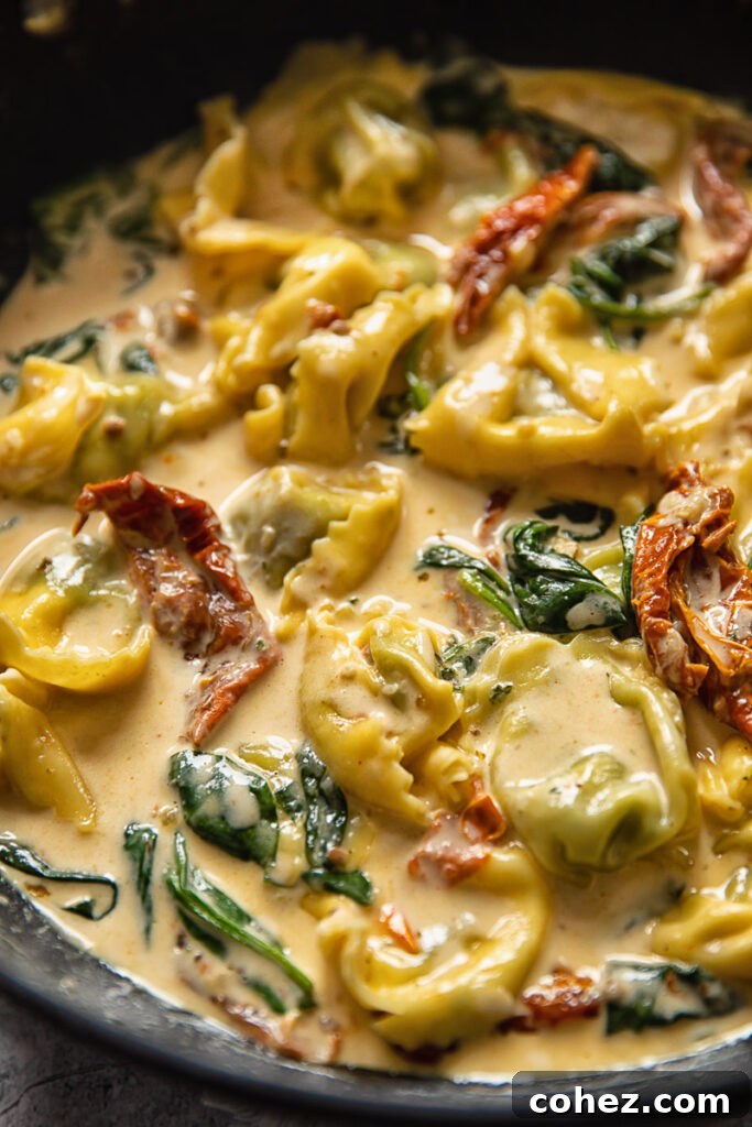 close up of a pan full of tortellini with sauce