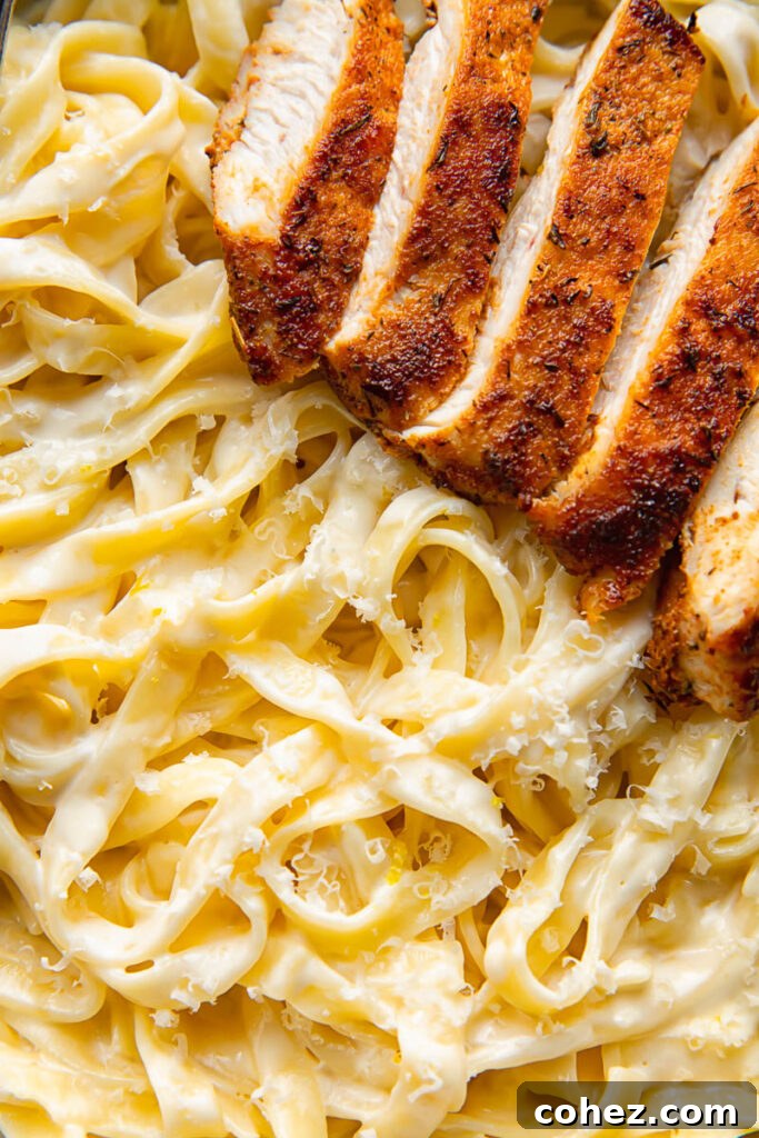 Close up shot of fettuccine pasta with alfredo sauce and blackened chicken