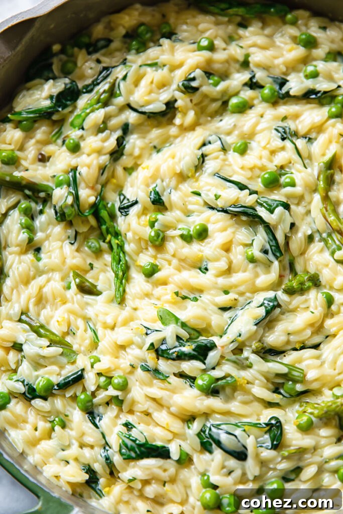 Garden Fresh Creamy Orzo 3 Close up shot of creamy orzo pasta primavera in a pot with vibrant spring vegetables and fresh herbs