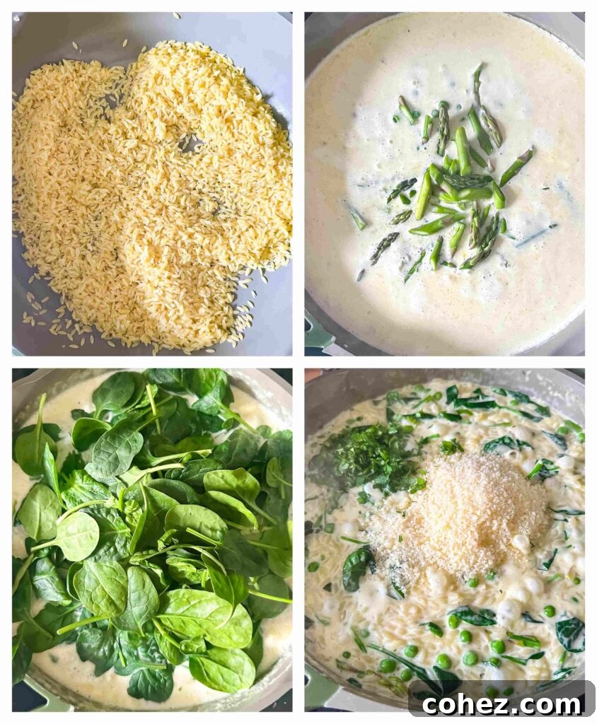 Garden Fresh Creamy Orzo 5 Process shots showing creamy sauce being made and cooked with orzo pasta and spring vegetables in a single pan