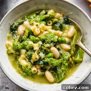 bowl of vegetarian minestrone soup with a spoon