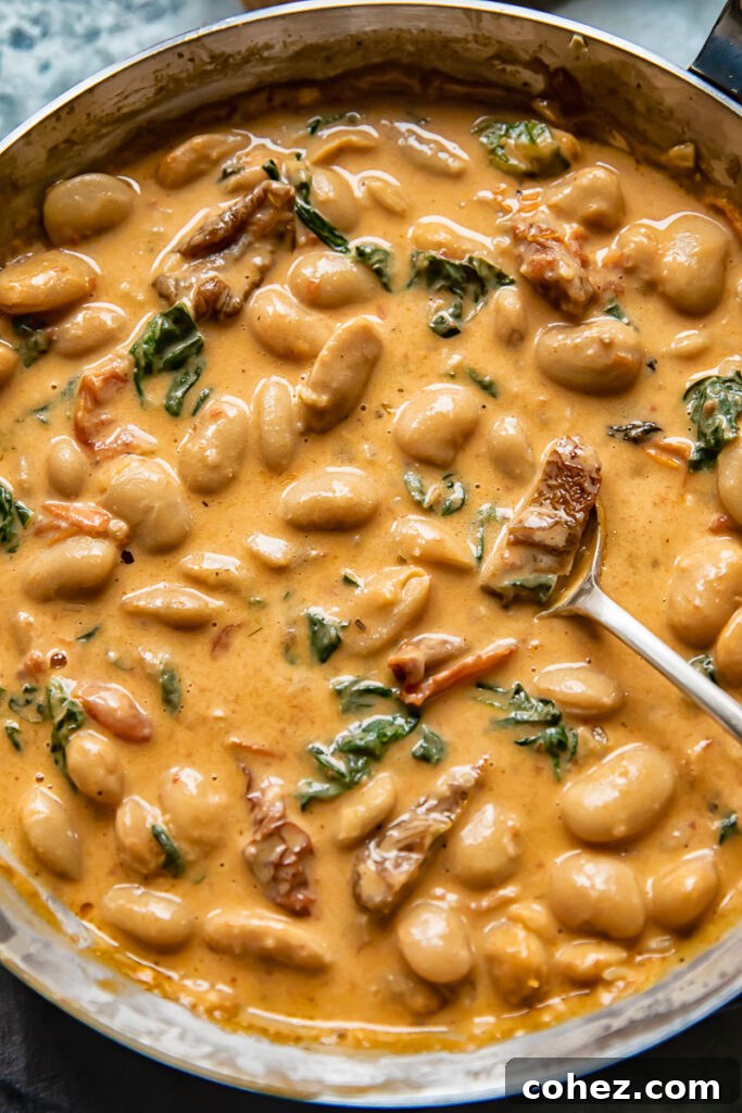 Creamy Tuscan Butter Beans with Sun Dried Tomato and Spinach 2 Top down shot of Tuscan butter beans in creamy sun dried tomato sauce in a pan with spinach