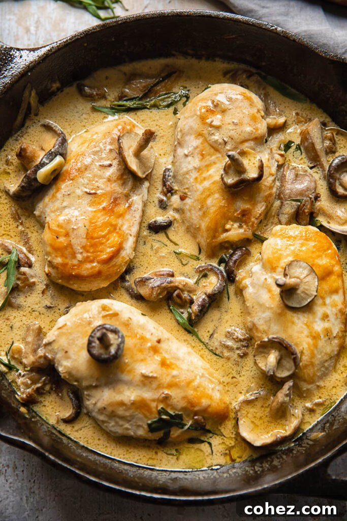 Top down shot of chicken breasts in a pan with creamy Forestière sauce and mushrooms