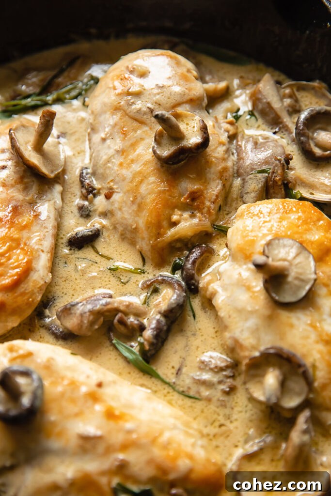 Close up shot of Chicken Forestière and mushrooms in a pan with creamy sauce