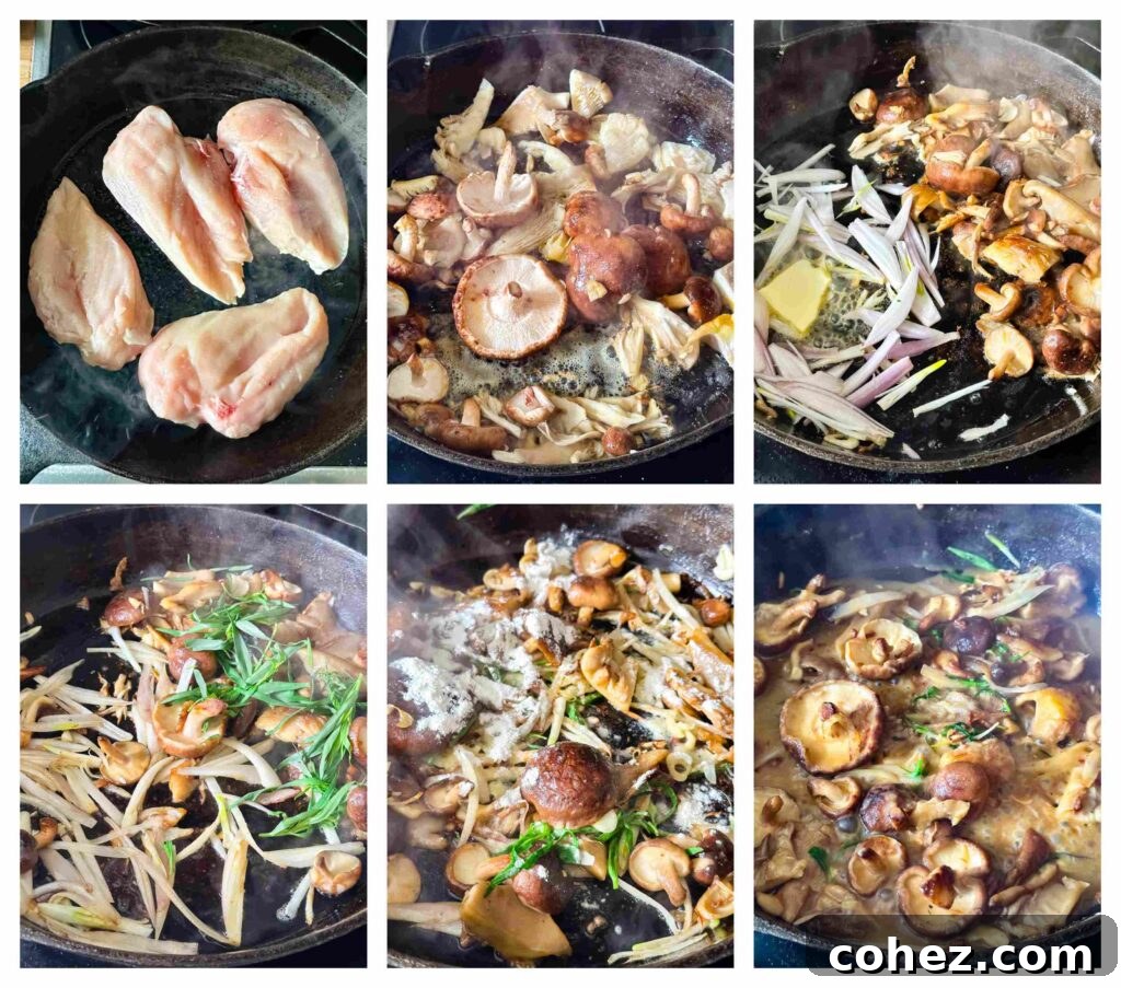 Process shots of chicken breasts and mushrooms being cooked before cooked with creamy sauce