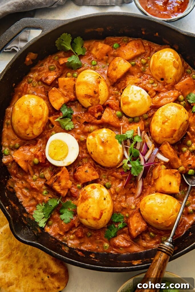 The curry in a frying pan with a serving spoon