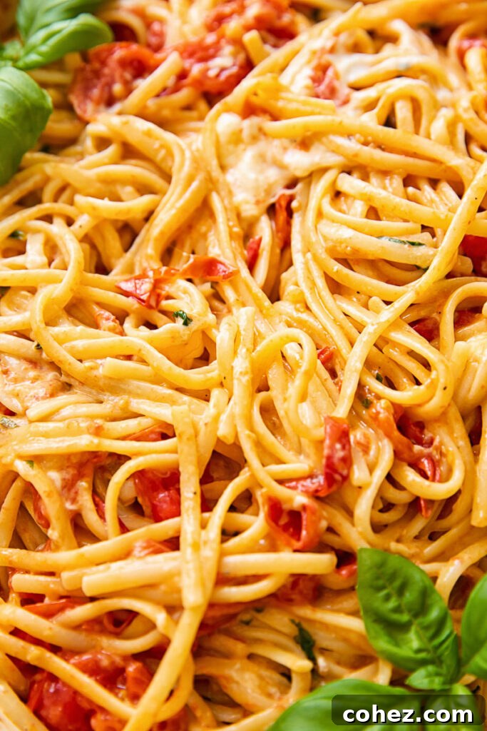 Close up of creamy cherry tomato pasta with green basil leaves