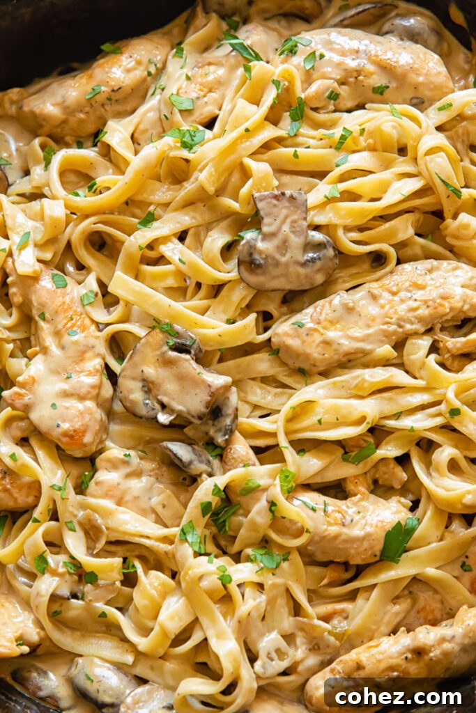 Close up shot of fettucine pasta with mushrooms and chicken strips in a creamy marsala sauce