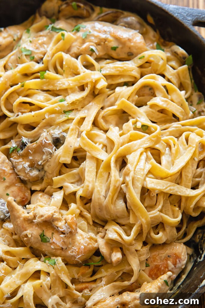 Close up shot of fettucine pasta in a pan with mushrooms marsala sauce and chicken breasts topped with parsley
