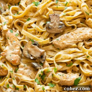 Close up shot of fettucine pasta with mushrooms and chicken strips in a creamy marsala sauce