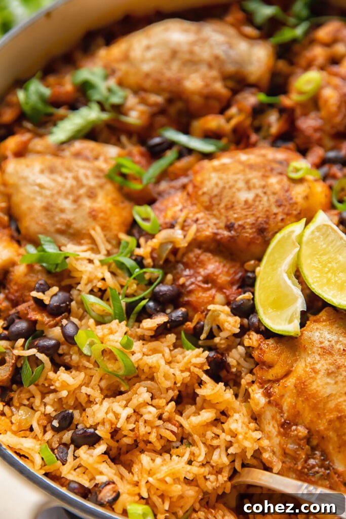 Close up shot of mexican rice with chicken breasts and black beans being served with a spoon