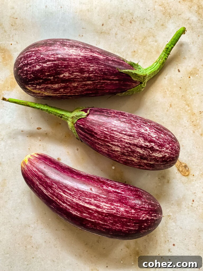 Three aubergine on a marble background