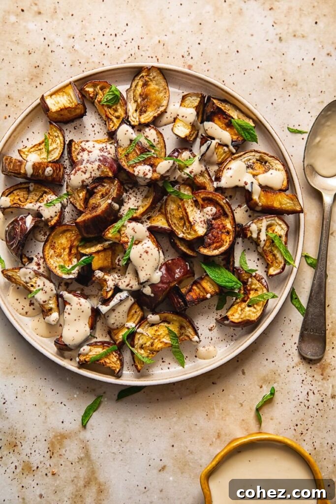 Plate of roasted aubergine beside a spoon and extra sauce