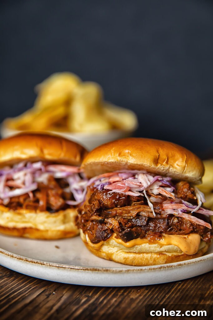 Side shot of two pulled pork sandwiches on a plate with frie in the background