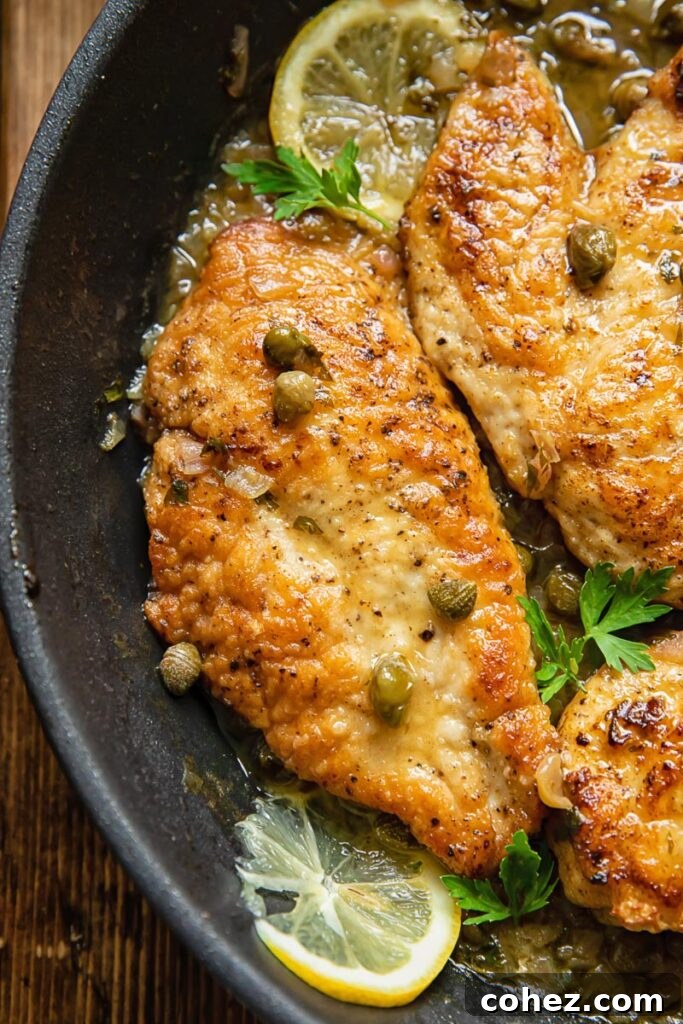 Close up shot of chicken piccata in a pan with lemon and capers
