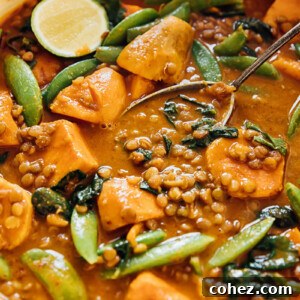 Sweet potato and lentil curry in a pan with serving spoon