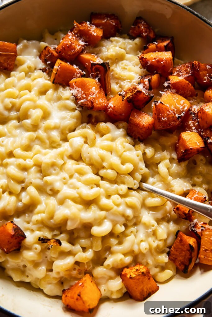 Close up of macaroni and cheese with butternut squash