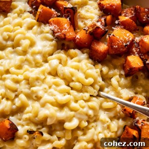 Close up of macaroni and cheese with butternut squash