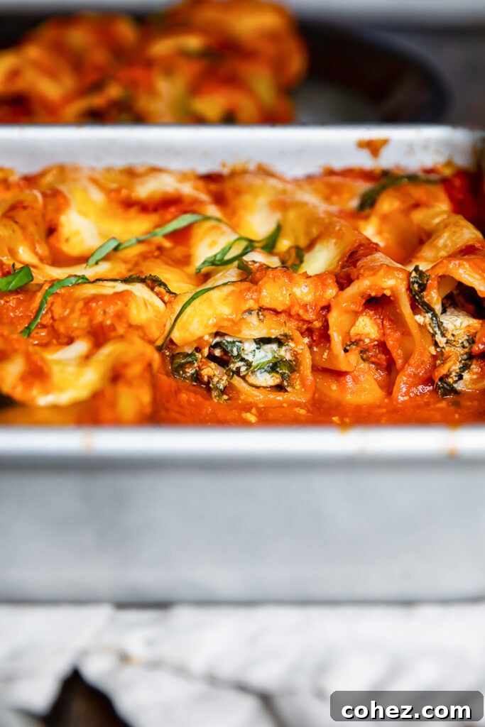 Side view of baked cannelloni in a dish