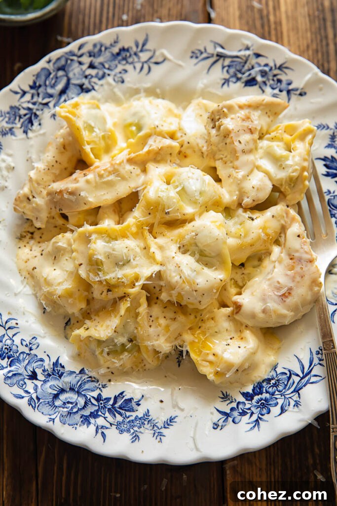 Top down shot of tortellini with chicken strips with an Alfredo sauce in a bowl