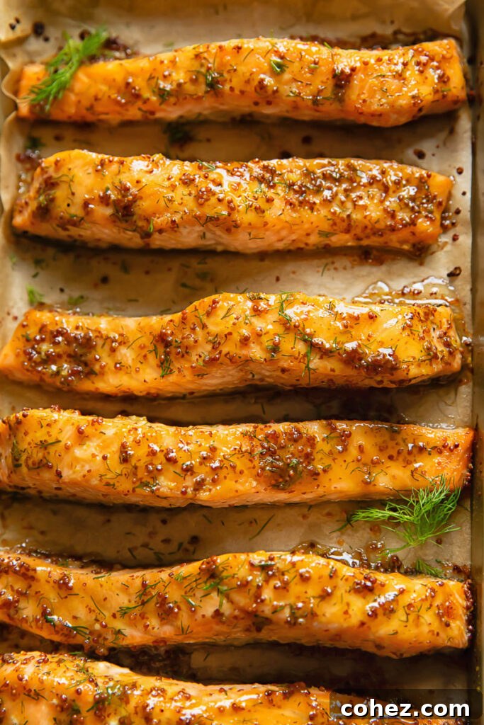Top down shot of salmon fillets lined in rows, baked in a maple mustard glaze