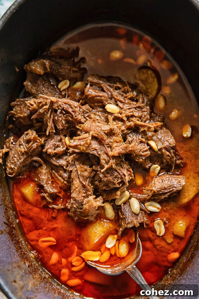Top down shot of massaman curry in a slow cooker with short rib, potatoes and peanuts in gravy