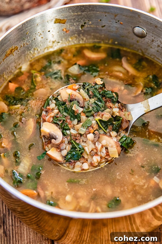 ladle with soup ingredients