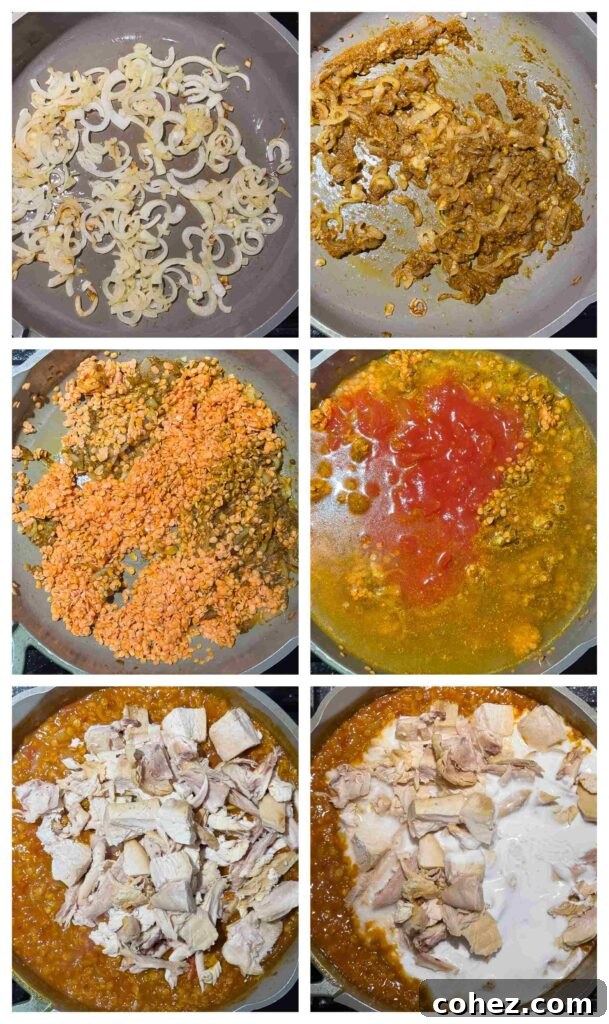 Process shots leftover turkey and lentils being cooked in a pan with onion and spices