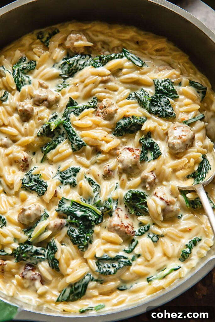 Shot of creamy orzo in a pan with cooked sausage and fresh kale on top, ready for serving with a garnish.
